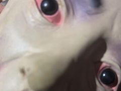 -Xcape异时刻密室逃脱真人NPC(新世界崇文门店)