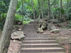 -凤栖山
