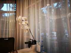 -子霖南山鲜虾面(南山总店)