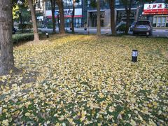 -海上海弘基休闲广场