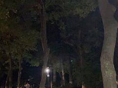 -莲湖公园