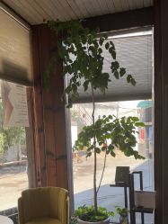 -香秀空间科技抗衰·美容中心