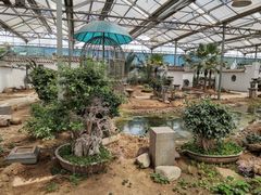 -石家庄市植物园