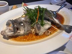 清蒸东星斑-79号渔船海鲜饭店(宝安店)