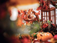 -白金汉爵大酒店(相城店)