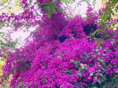 -月亮眼花园餐厅书吧酒吧
