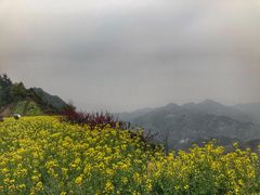 -石潭村