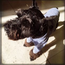 -Hello Lady发型设计