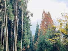 -太阳湾风景区