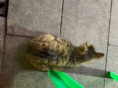 -OneFit健身(汇锦城店)