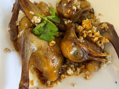 -百利鸽王(紫薇路店)