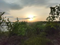 -上海市保健医疗中心