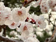 -慕田峪长城