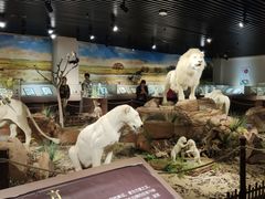 -陕西自然博物馆