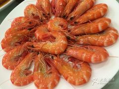 -黄埔华苑酒家(黄埔店)