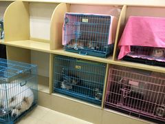-瑞鹏宠物医院·骨科·猫科·内科(第一中心)