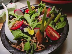 藜麦盆栽-枚青·临安酒肆(腾飞大厦店)