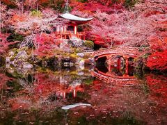 -醍醐寺