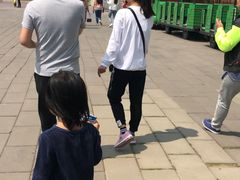 -白洋淀景区