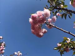 -观澜湖生态运动公社
