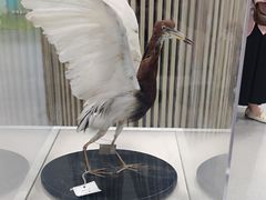 -陕西科学技术馆