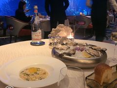 -迪拜帆船酒店海底餐厅