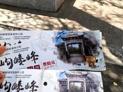 -岣嵝峰国家森林公园