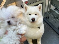 -萌兽医馆·眼科·异宠专科(三里屯店)