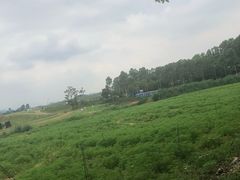 -光明小镇欢乐田园