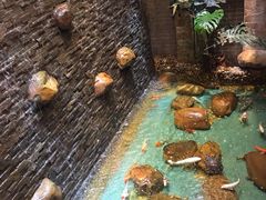 -汇景花园酒家(基立下道店)