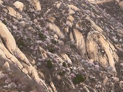 -北京凤凰岭