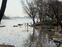 -金鸡湖桃花岛