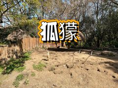 -上海野生动物园