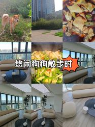-HEYAN荷妍专业脱毛连锁机构