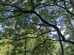 -綦江古剑山