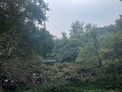 -岳麓山风景名胜区