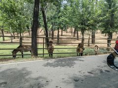 -秦皇岛野生动物园