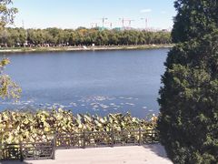 -素心小筑(后沙裕镇店)