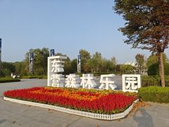 -东营·森林乐园
