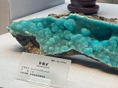 -湖南省地质博物馆