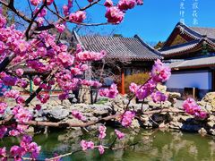 -北海公园