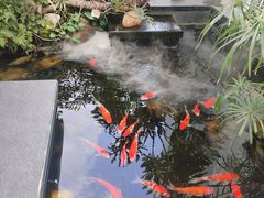 -观海半岛宴·湛江菜(海上世界店)