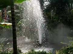 -北京植物园-展览温室