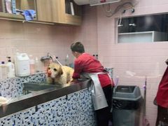 -FAELING PETS美天灵宠物(富力广场店)