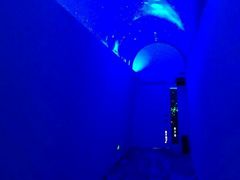 -深圳东部华侨城瀑布酒店