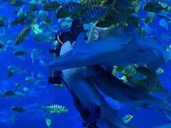 -太平洋海底世界