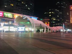 -何记花甲(海岸城旗舰店)