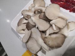 -古乐牛香·鲜牛肉牛杂火锅(吴江三里桥运东商业广场店)