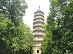 -灵谷景区