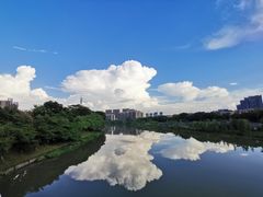 -怡海公园(桂城街道)